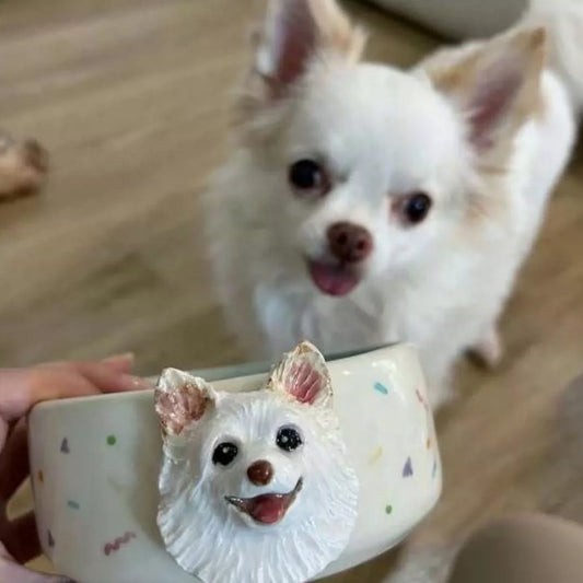 Personalized 3D Dog Cat Face Ceramic Slow Feeder Bowl